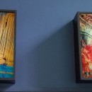 Foto di sezioni sottili retroilluminate, esposte presso l'Accademia Galileiana di Padova